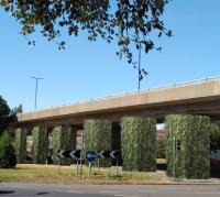 Southampton viaduct to get ‘living’ piers image