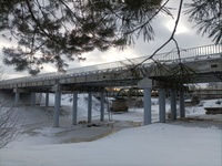 Aluminium bridge opens to traffic in Russia image