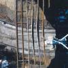 Edmonton braces warped bridge girders image