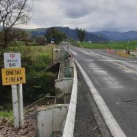 New Zealand begins shift towards timber highway bridges image
