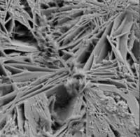 Research team develops new salt-resistant concrete mix image