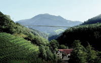 Winner of Swiss bridge competition announced image