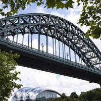 With kittiwakes flown and marathon run, restoration work starts on iconic UK bridge image