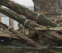 Work begins on Charles Bridge pier protection image