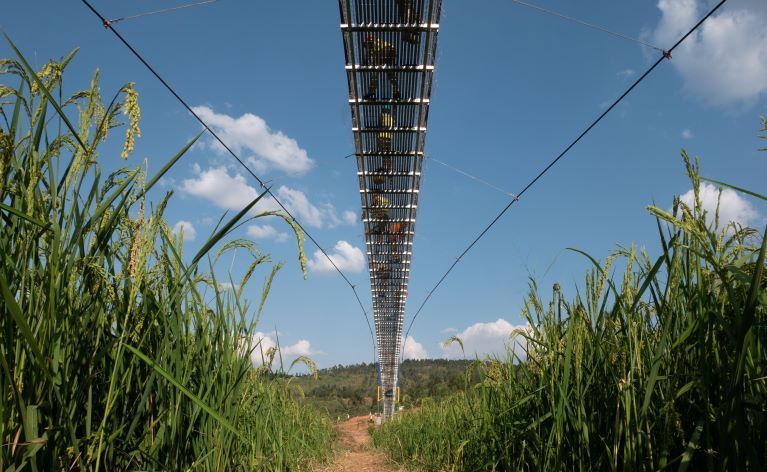 Bridges to Prosperity