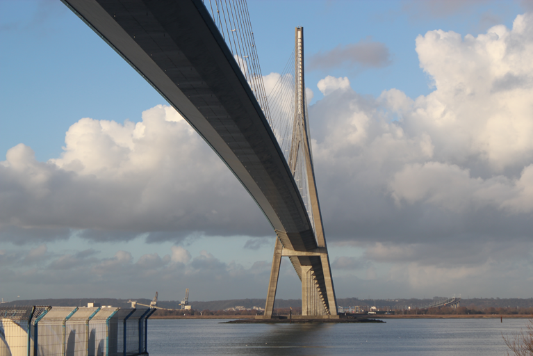 Safety in big numbers