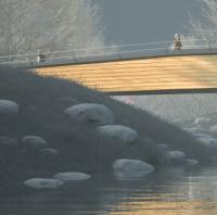 Winner chosen in German footbridge design contest logo 