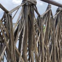 Bridge built using flax opens in the Netherlands logo 