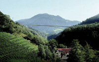 Winner of Swiss bridge competition announced logo 