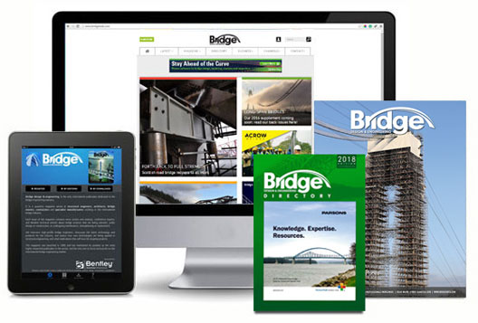 Subscription Includes logo